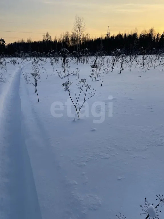 Продажа участка, Холмы, Истринский район - Фото 0