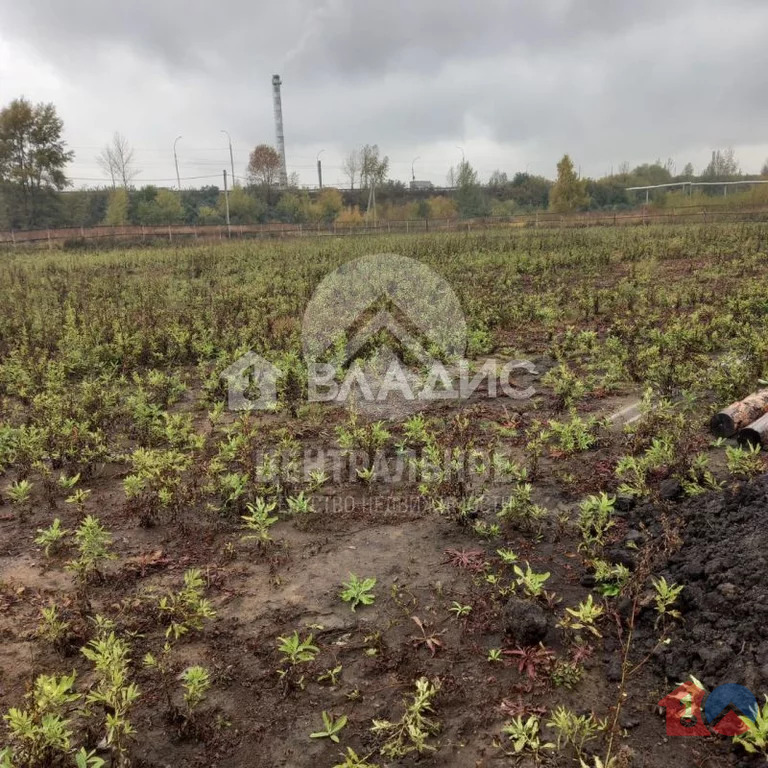 Земельный участок в аренду, городской округ Новосибирск, Новосибирск, ... - Фото 4