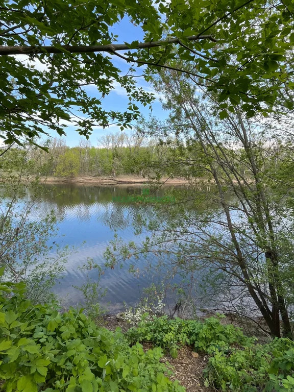 Продажа дома, Плеханы, Балаковский район, ул. Молодежная - Фото 15
