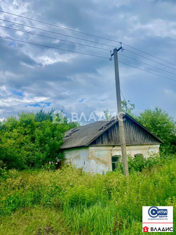 Продажа участка, Серебрянка, Семилукский район, ул. Центральная - Фото 2