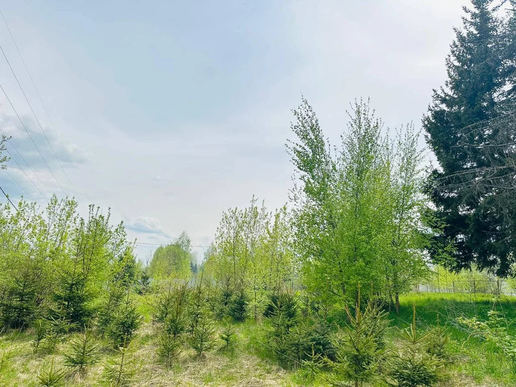 Продажа участка, Батюшково, Дмитровский район - Фото 12