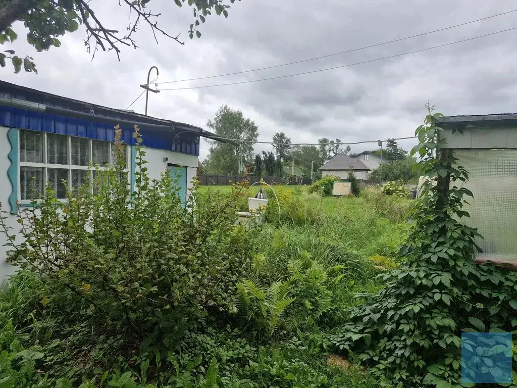 24,2 сотки ЛПХ в д. Редино - Фото 10