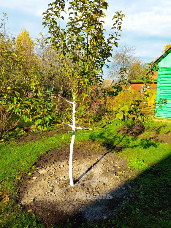 Продажа дома, Наро-Фоминский район, садовое товарищество Здоровье тер. - Фото 2