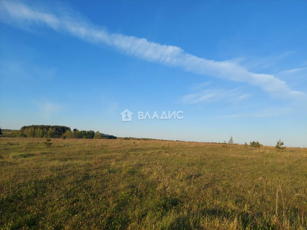 Земельный участок на продажу, Юрьев-Польский район, село Небылое, ... - Фото 11