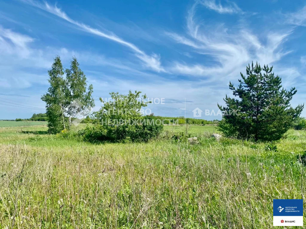 Продажа участка, Перкино, Спасский район, ул. Новая - Фото 0