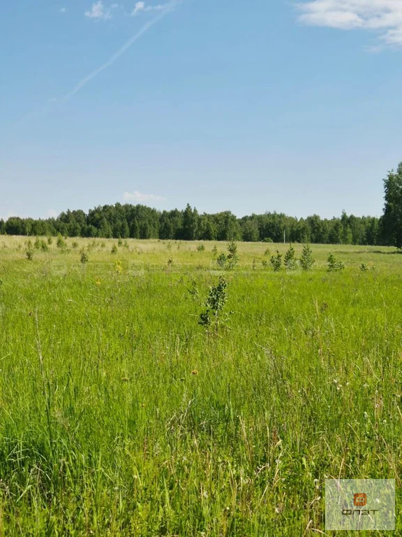 Продажа участка, Лаишевский район, ул. Парковая - Фото 3