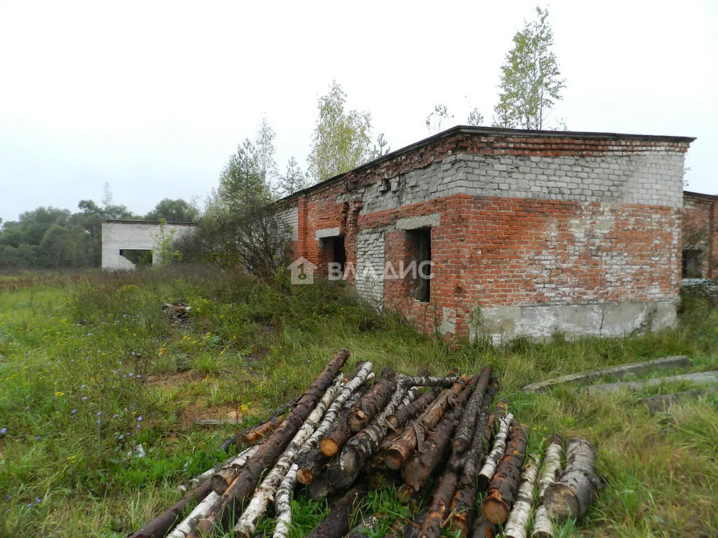 производственное на продажу, судогодский район, поселок муромцево, . - Фото 11