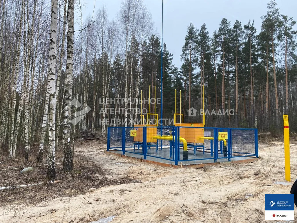 Продажа участка, Ярустово, Спасский район, ул. Лесная - Фото 14