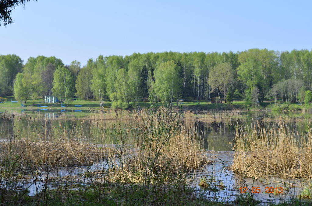 Солнечногорск деревня кривцово