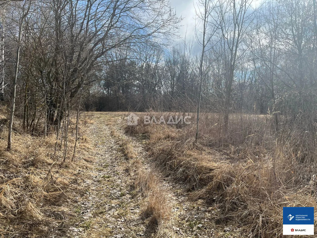 Продажа участка, Пощупово, Рыбновский район - Фото 8