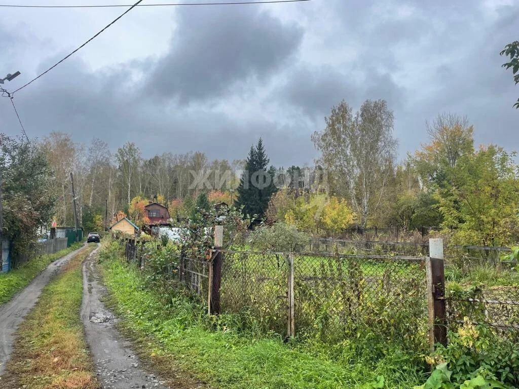 Продажа дома, Издревая, Новосибирский район - Фото 3