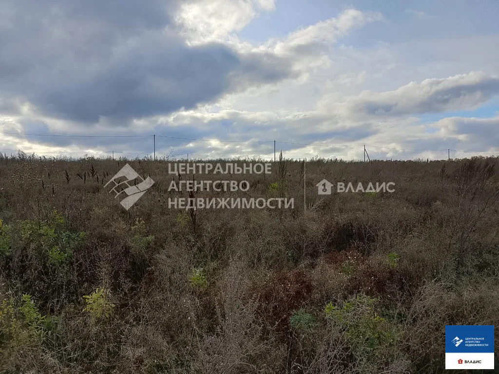 Продажа участка, Горетово, Рязанский район - Фото 2