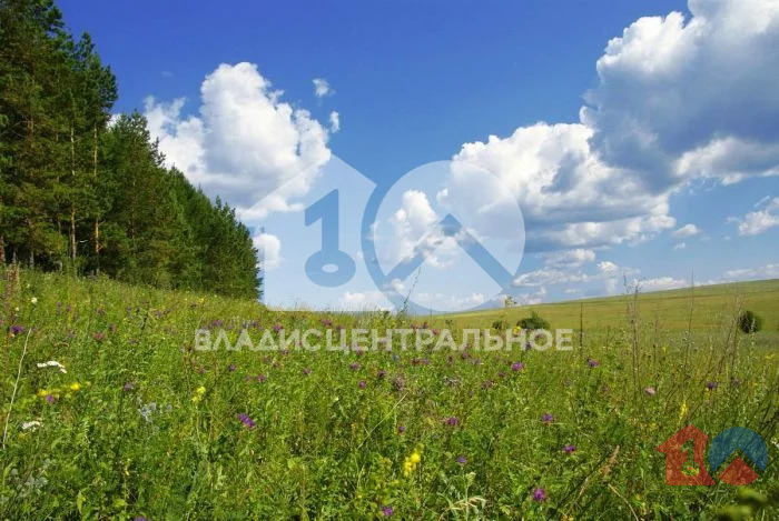 Новосибирский район, дачное некоммерческое товарищество Гармония,  ... - Фото 1