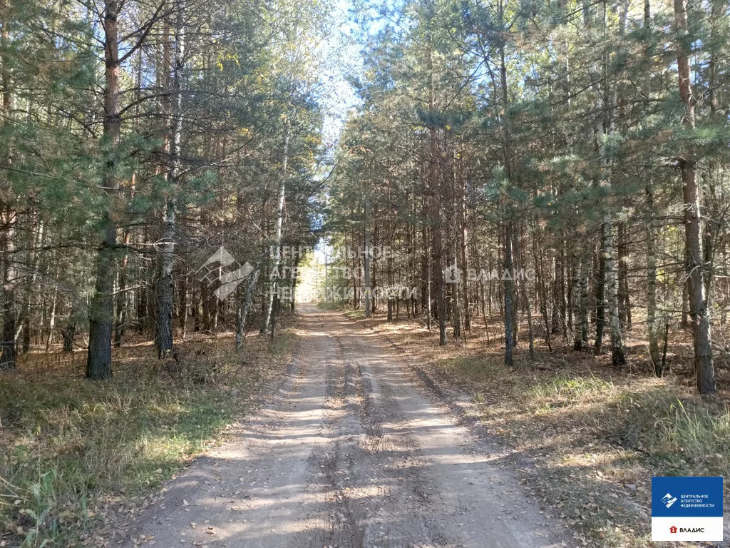 Продажа участка, Спасский район - Фото 1