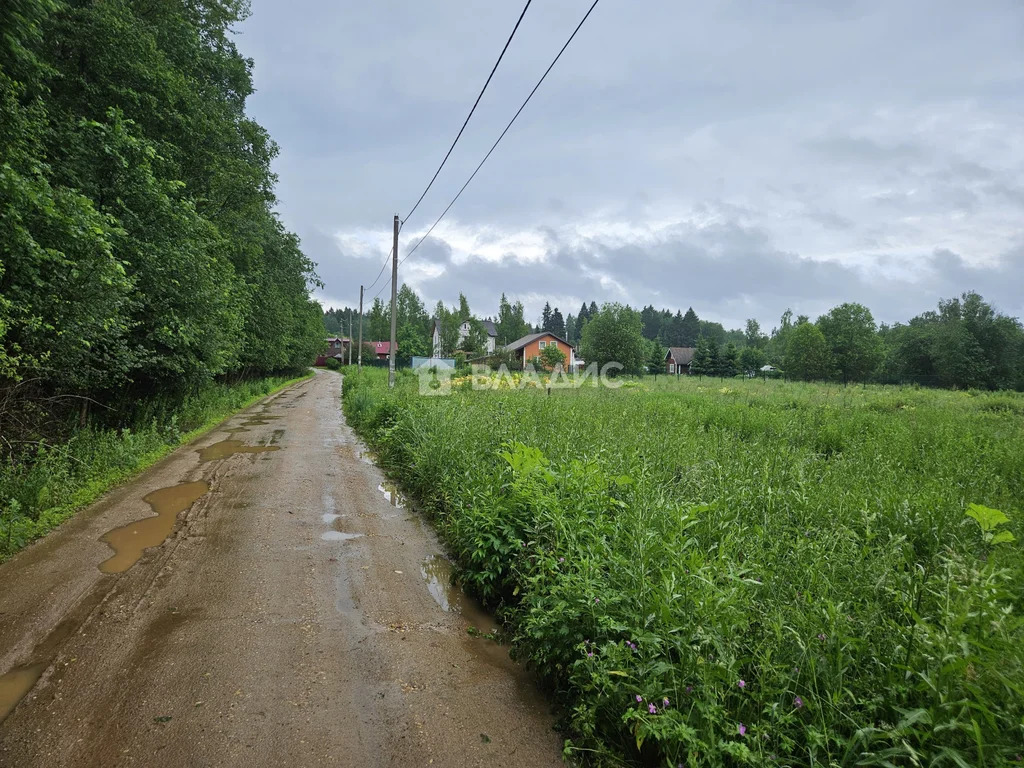 городской округ Клин, деревня Елино,  земля на продажу - Фото 8