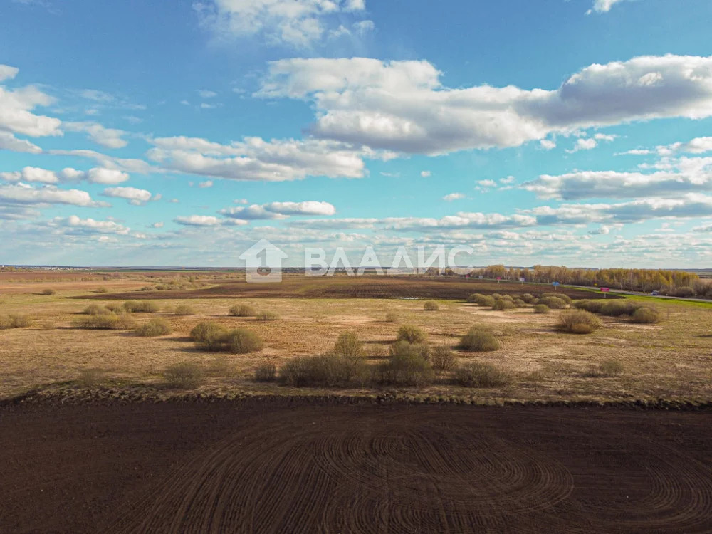 Земельный участок на продажу, Суздальский район, село Павловское - Фото 2