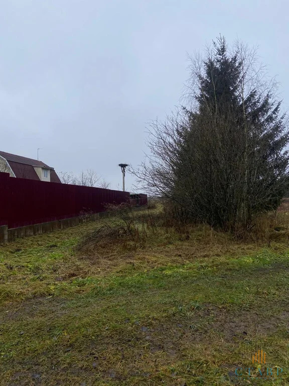 Продажа участка, Большие Озертицы, Волосовский район, деревня Большие ... - Фото 7