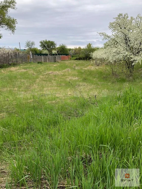 Продажа участка, Сорочьи Горы, Рыбно-Слободский район, ул. ... - Фото 4