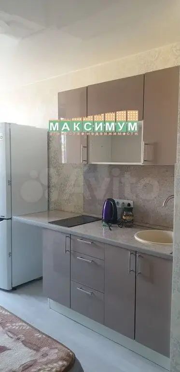 Квартира-студия, 20 м, 8/9 эт. д. Лопатино, г/о Ленинский - Фото 4