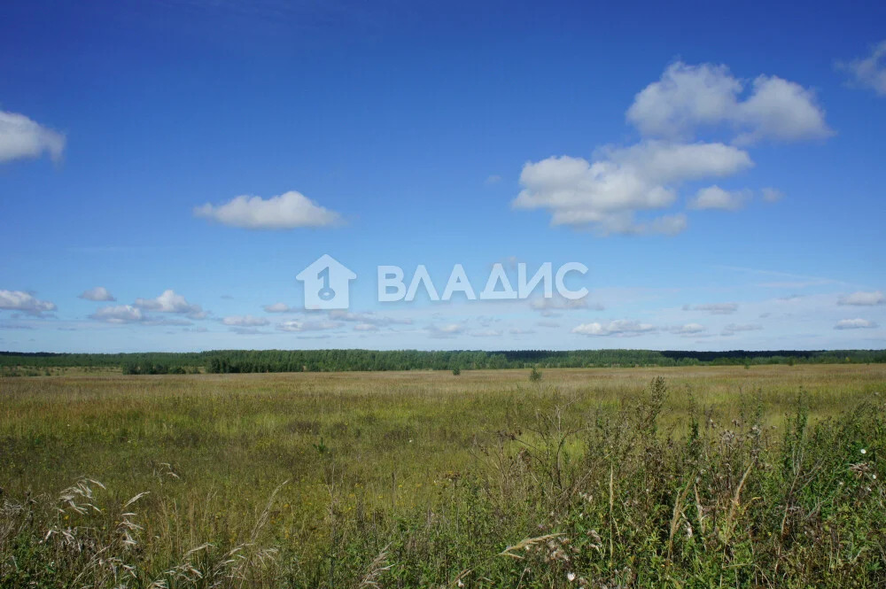 Суздальский район, село Павловское,  земля на продажу - Фото 2