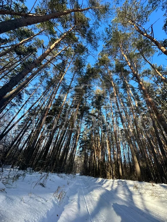 Продажа дома, Клюквинский, Курский район - Фото 6