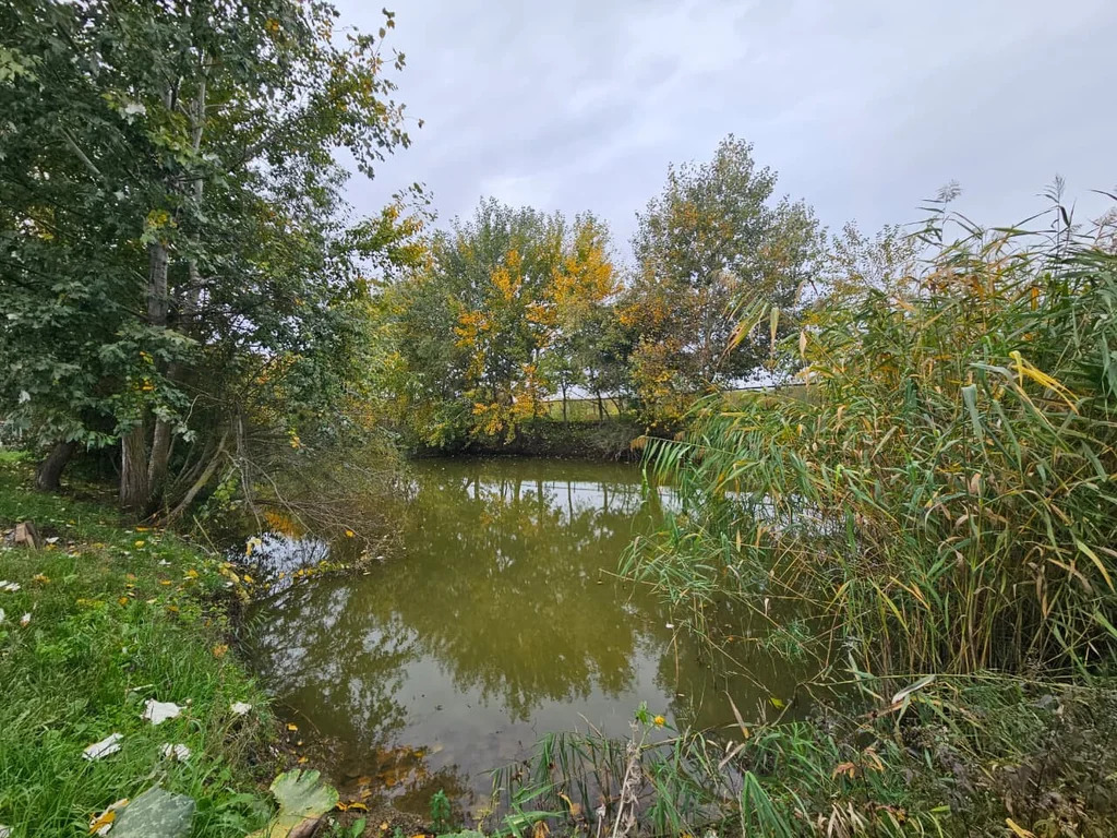 Продажа готового бизнеса, Абинск, Абинский район - Фото 2