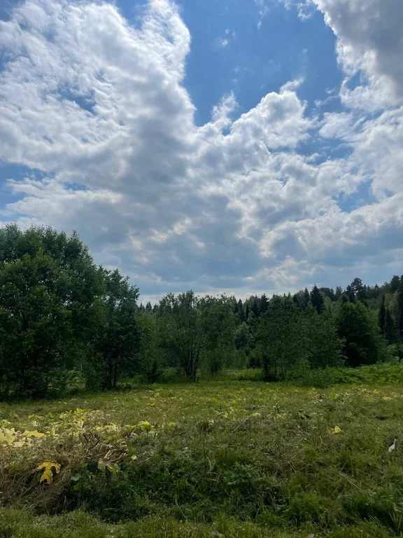 Дом 136,52 м2 на участке 6 сот. - Фото 3