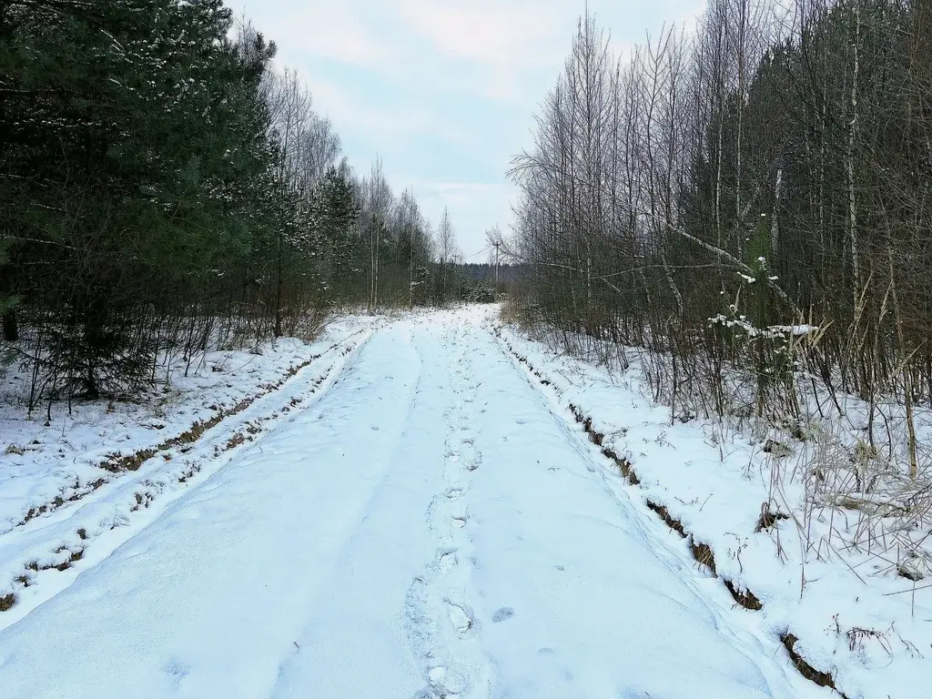 Участок в деревне Сабанино - Фото 1