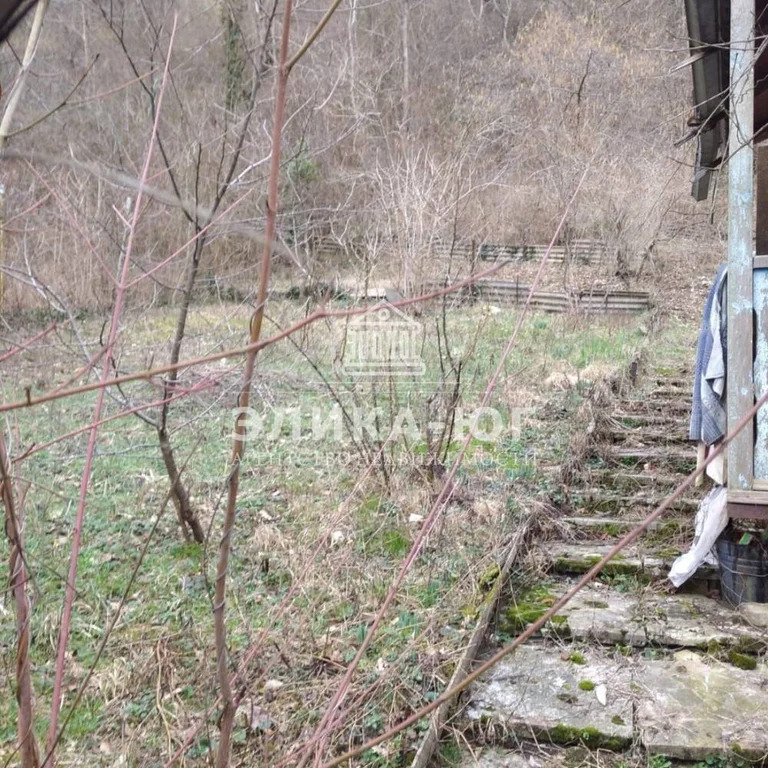 Продажа участка, Новомихайловский, Крымский район, снт Росинка - Фото 1