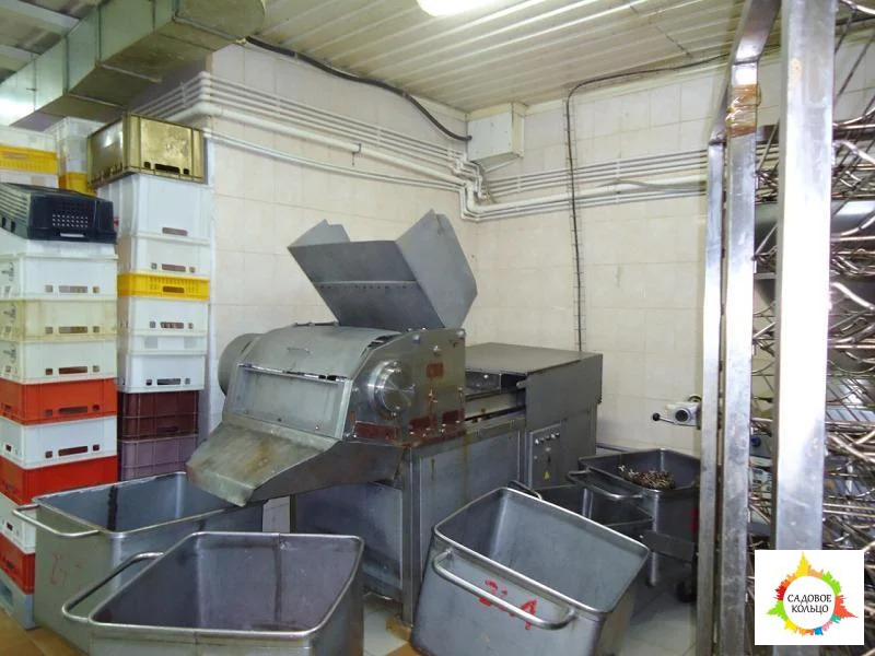 Сдается действующий, оснащенный мясоперерабатывающий завод - Фото 11