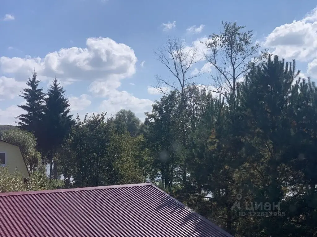 Купить дом 32.0м Тульская область, Алексин городской округ, Ладерево ... - Фото 31