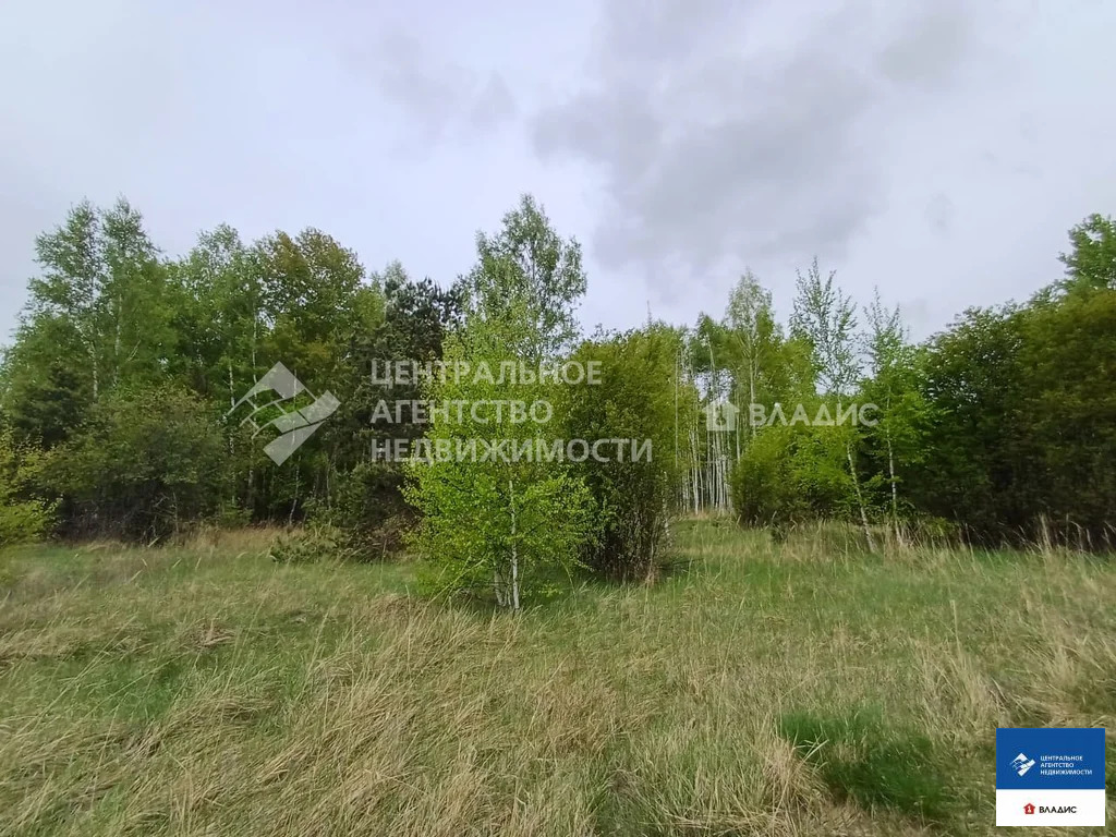 Продажа участка, Фролово, Клепиковский район - Фото 6