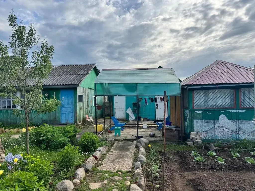 Купить дом 70.0м ул. Центральная, 31, Ярославская область, ... - Фото 17