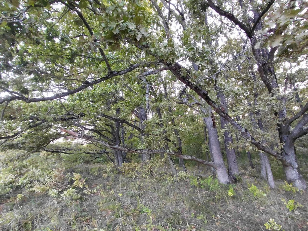 Продажа участка, Григорьевская, Северский район - Фото 2
