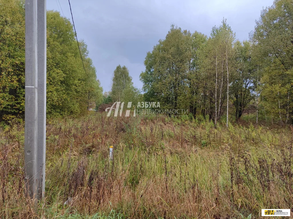 Продажа участка, Горетово, Можайский район, Бестужевская улица - Фото 7