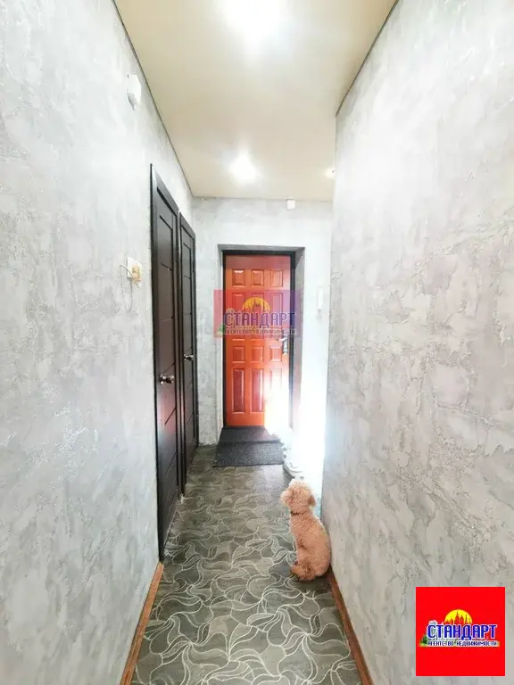 1х Улучшенной планировки - Фото 10