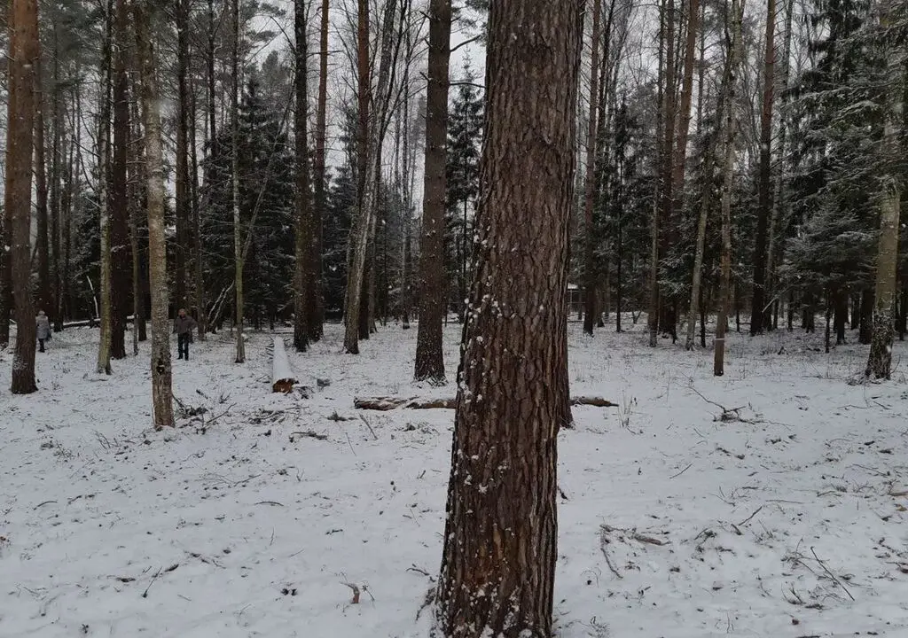 Участок 20,6 сотки в Новогорске - Фото 5