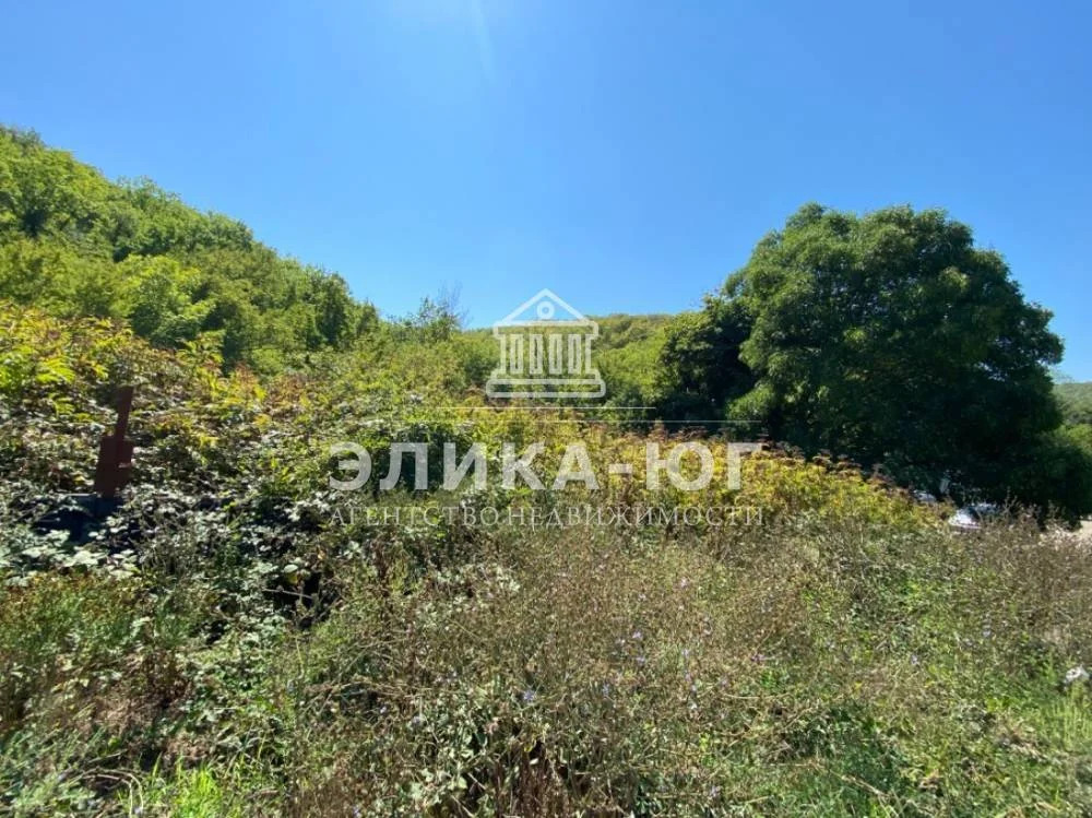 Продажа участка, Джубга, Туапсинский район, ул. Колхозная - Фото 6