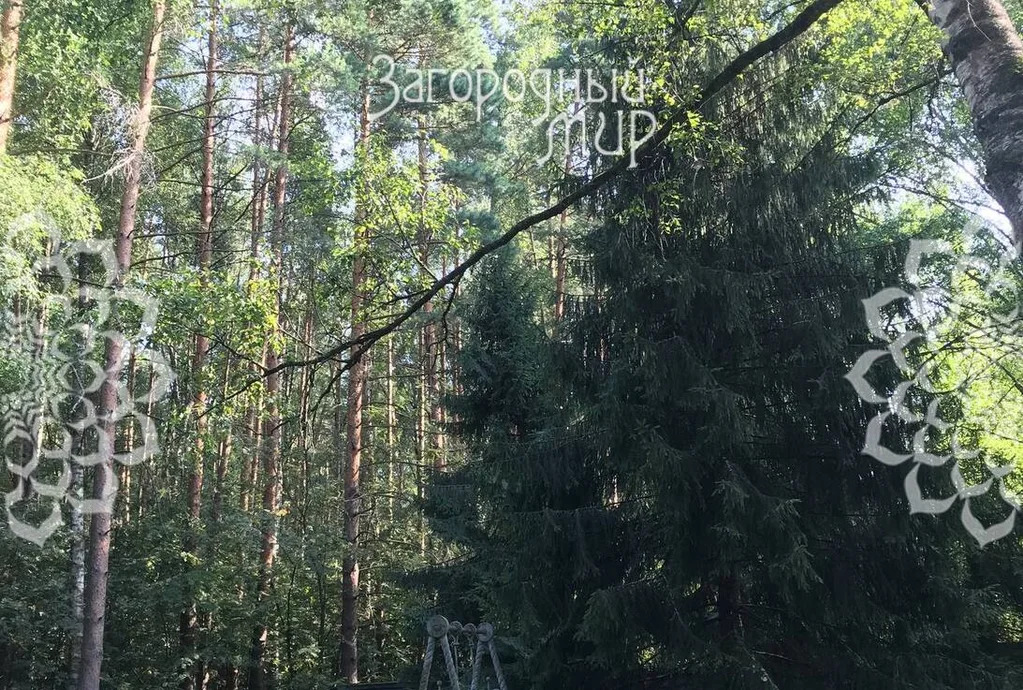 Продам участок, Новорижское шоссе, 25 км от МКАД - Фото 8