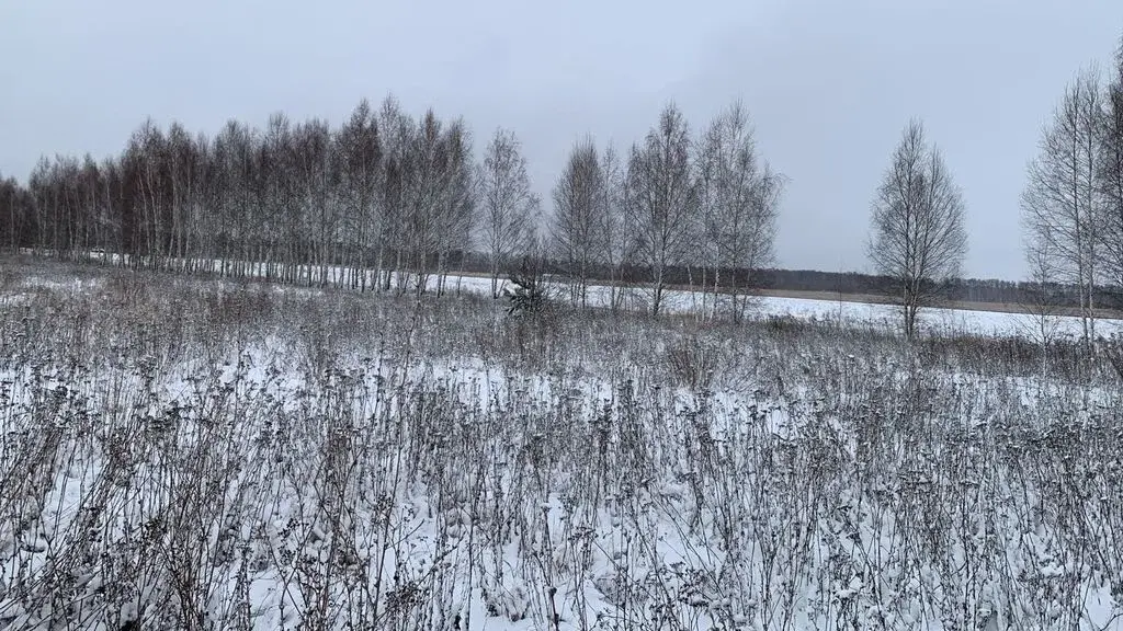 Продам участок в коттеджном поселке Раменские дворики - Фото 2