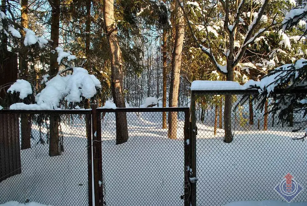 Дача у леса в СНТ Ивушка у д. Таширово, Наро-Фоминский район, Киевское - Фото 25