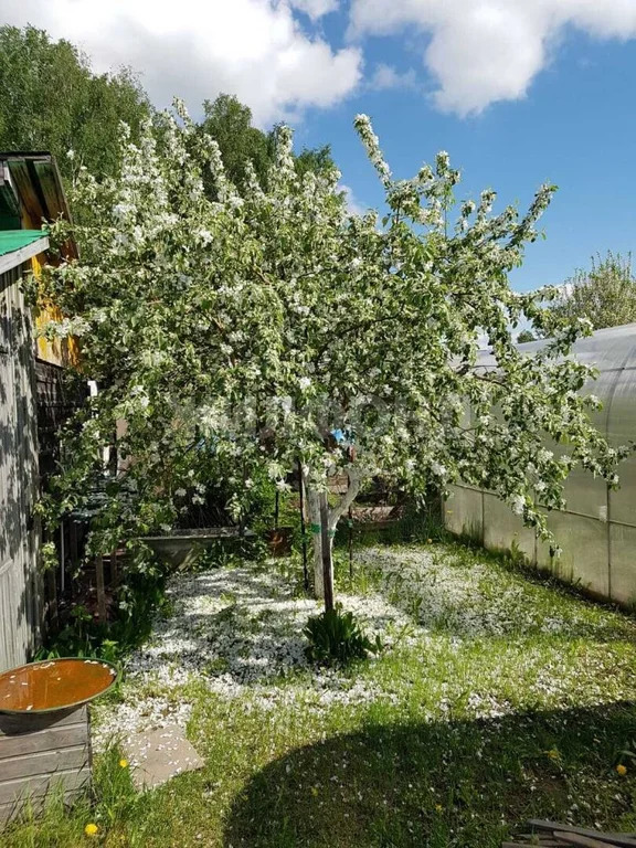 Продажа дома, Новосибирск - Фото 6