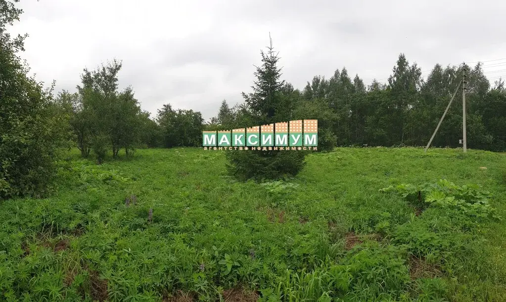 19.6 соток в СНТ "Содружество" г/о Ступино - Фото 5