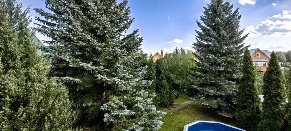 Дом. СНТ Мещерино-Чурилково, ул.Лесная , д.42 - Фото 43