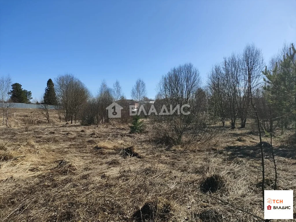 Продажа участка, Новопареево, Щелковский район, 1-я Амеревская улица - Фото 7