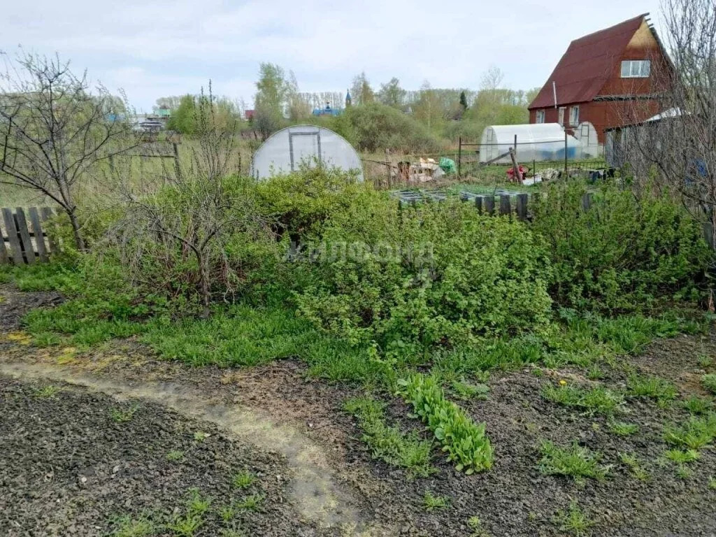 Продажа дома, Сокур, Мошковский район, ул. Колхозная - Фото 16