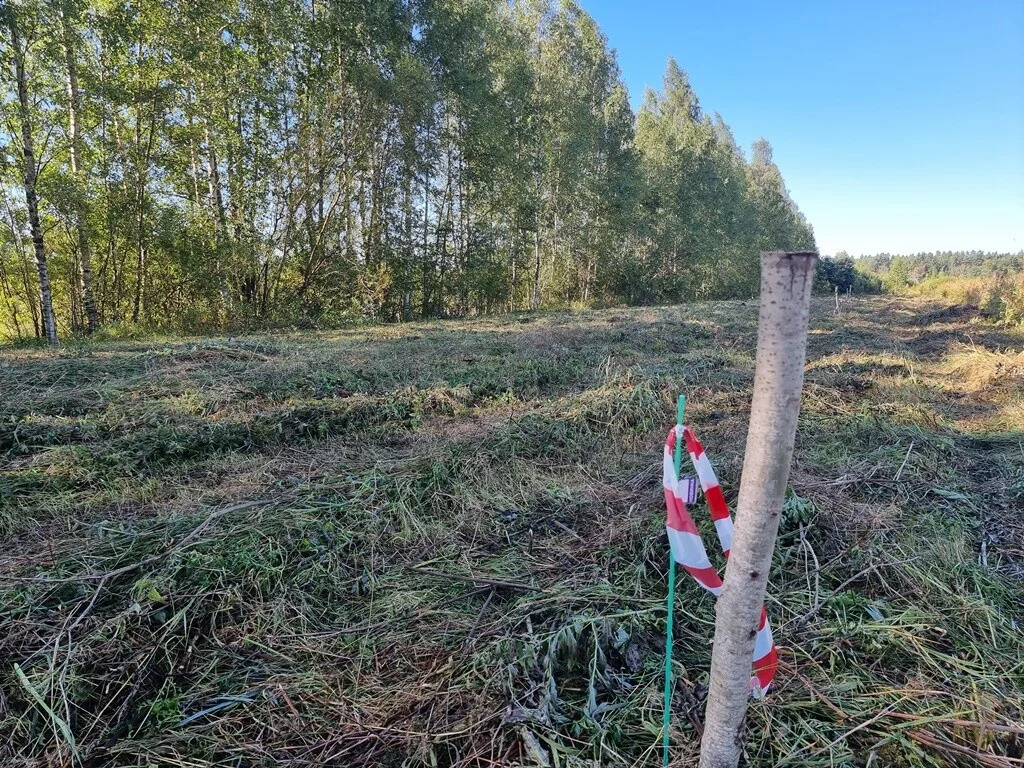 Продажа участка, Большие Пороги, Всеволожский район - Фото 8
