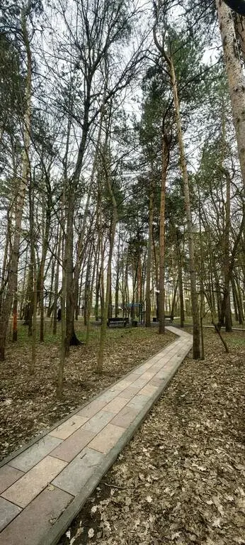 1-ка, Молостовых, 4к2 - Фото 24