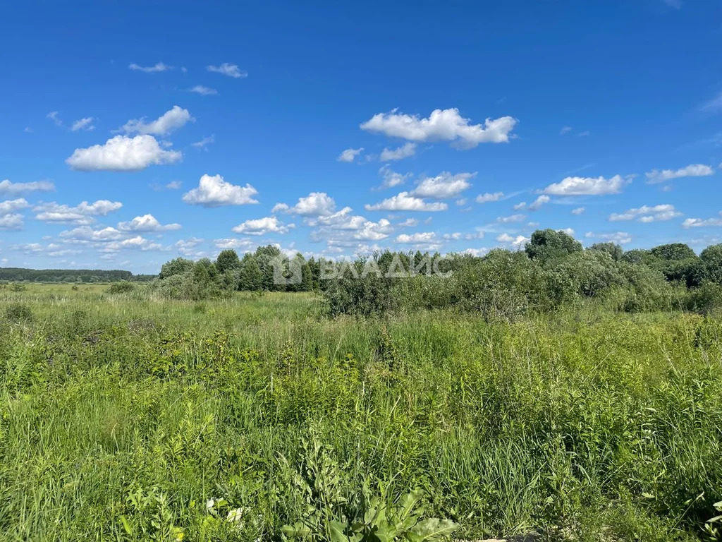 Суздальский район, село Новое,  дом на продажу - Фото 3