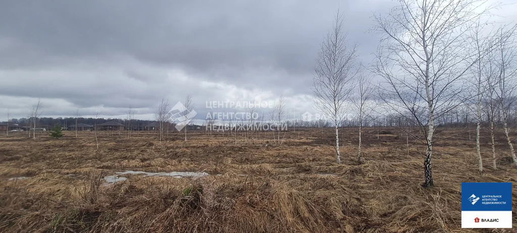 Продажа участка, Дубняки, Рязанский район, Солнечная улица - Фото 2